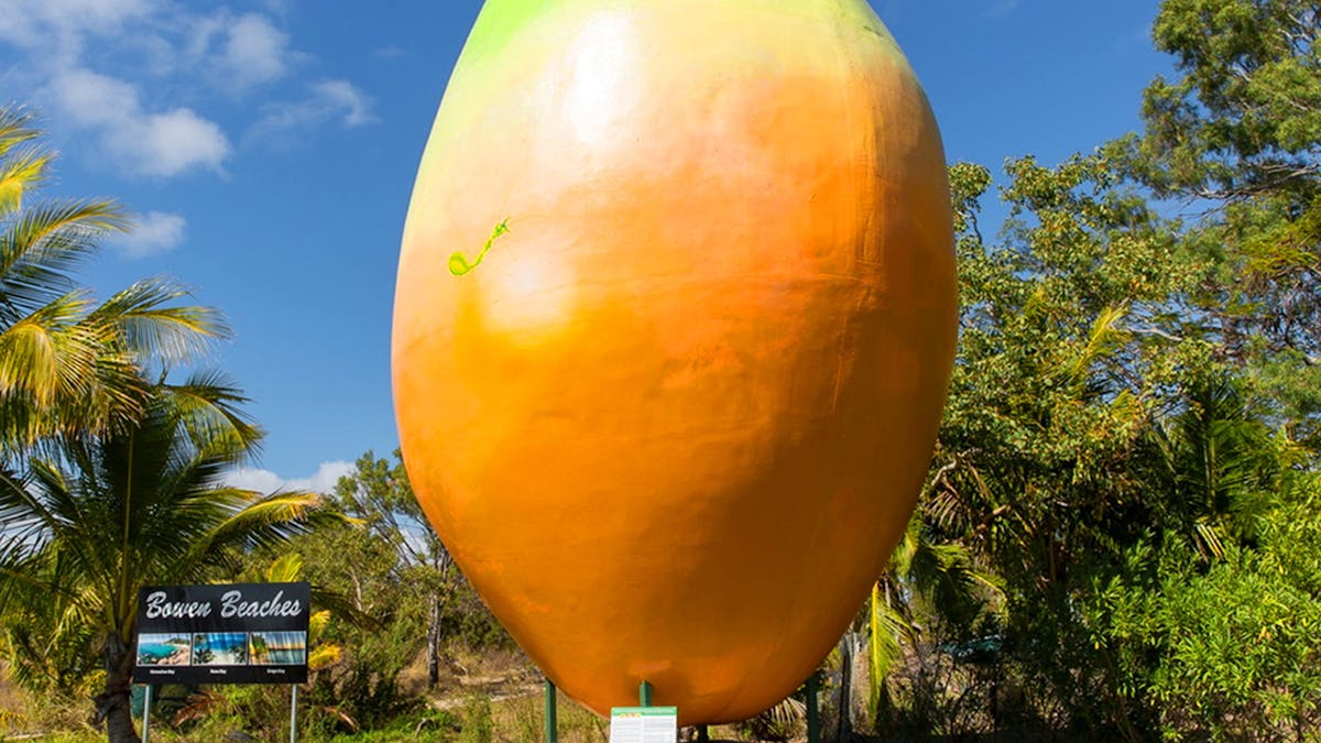 the big mango